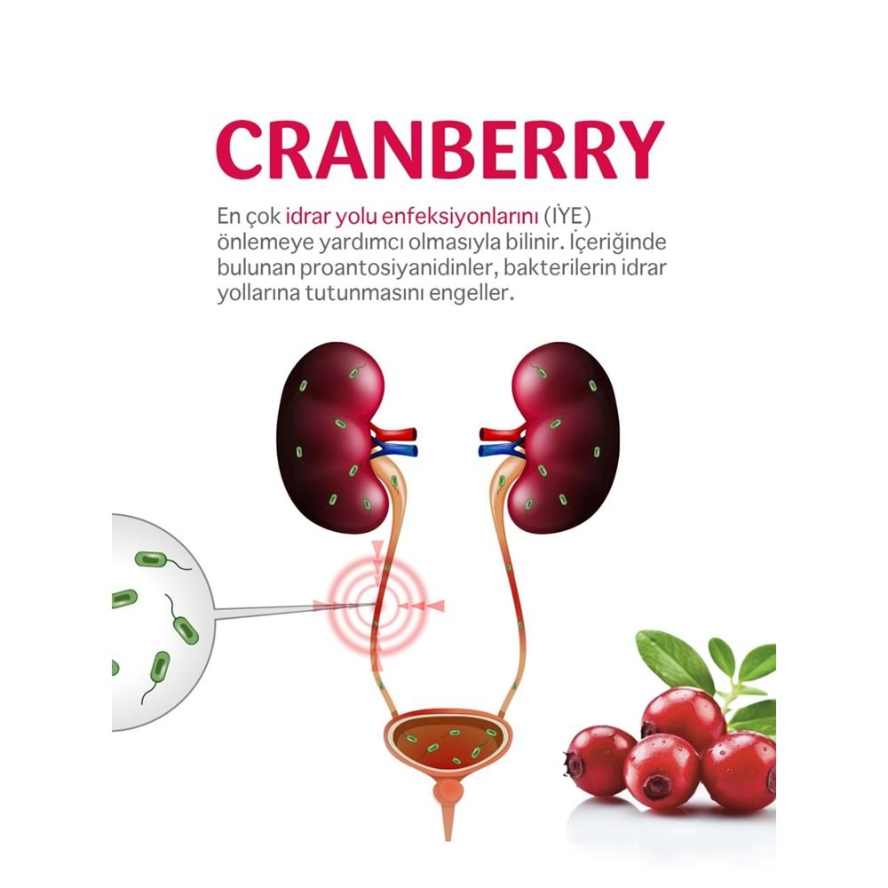 FITRİNA CRANBERRY 60 KAPSÜL