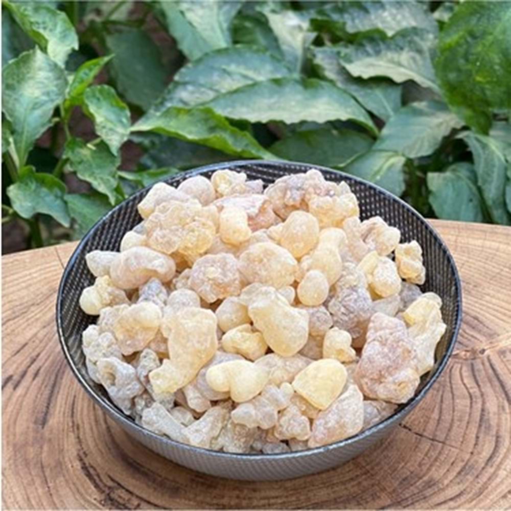 AK GÜNLÜK SAKIZI 100 GR