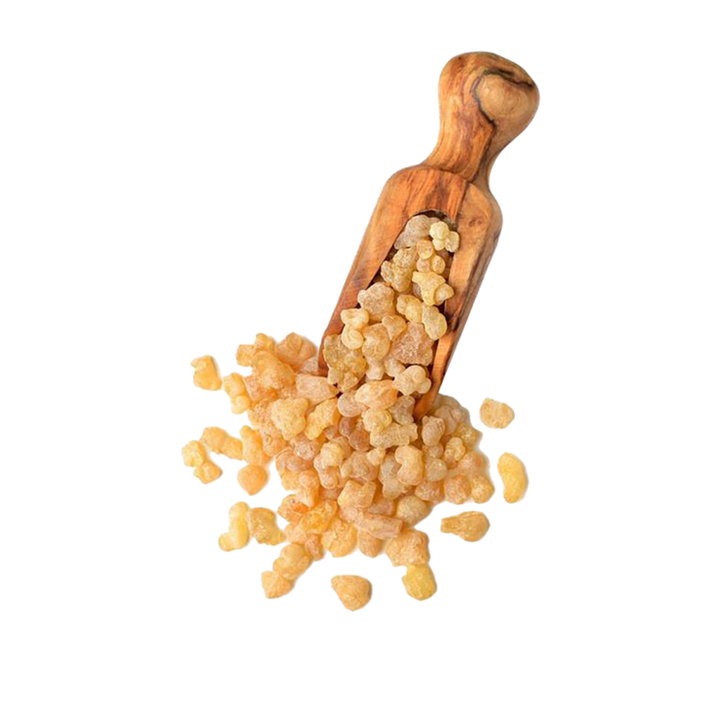 AK GÜNLÜK SAKIZI 100 GR