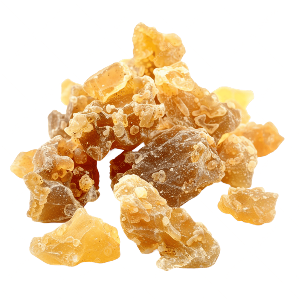 AK GÜNLÜK SAKIZI 100 GR