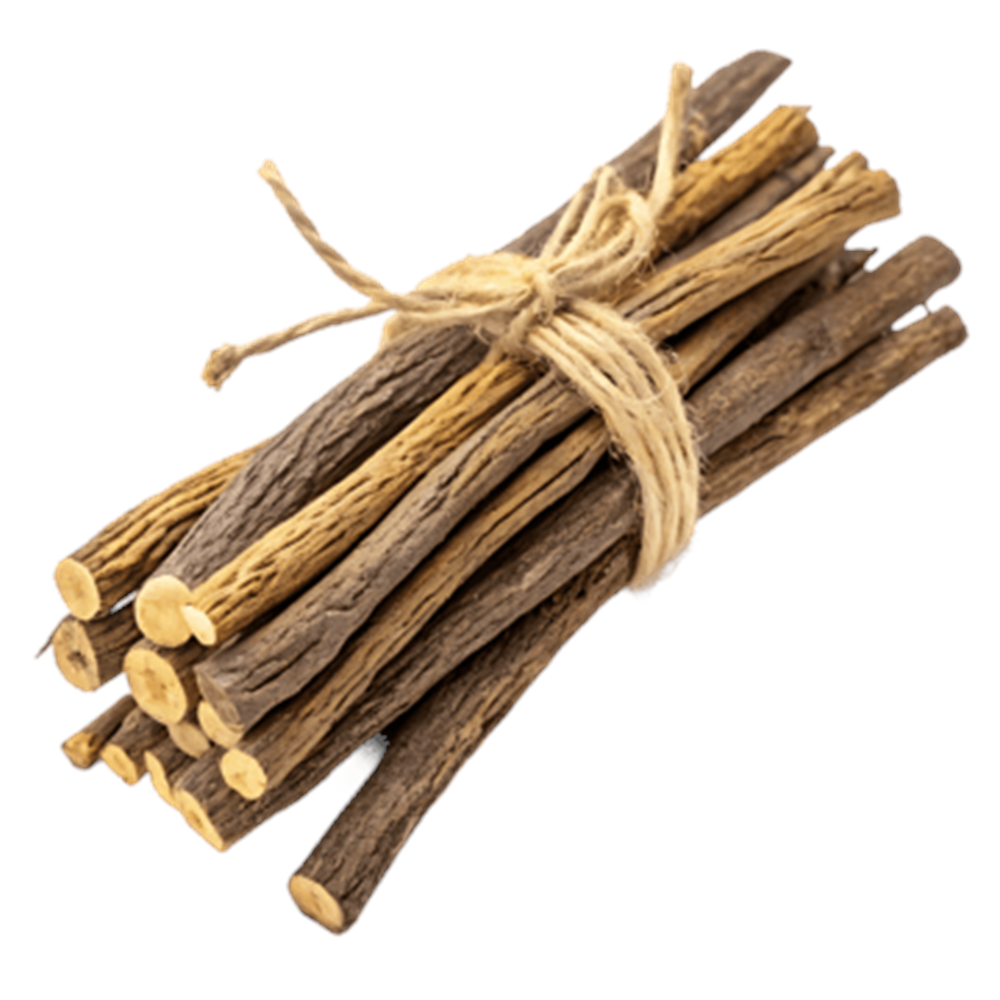 MEYAN KÖKÜ RENDE 50 GR