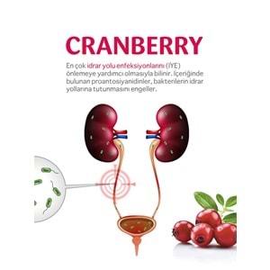 FITRİNA CRANBERRY 60 KAPSÜL
