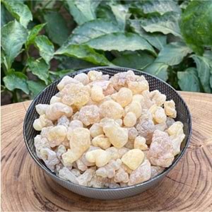 AK GÜNLÜK SAKIZI 100 GR