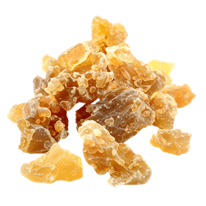 AK GÜNLÜK SAKIZI 100 GR