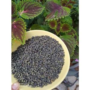 BAMYA TOHUMU 100 GR