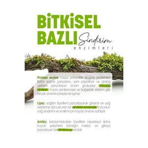 FITRİNA ZIMOTRIN PLUS 60 KAPSÜL